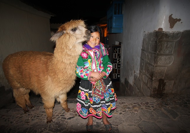 Another girl trying to make living with her llama